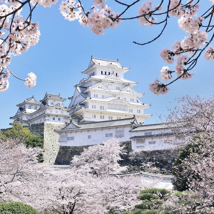 Lâu đài Hạc Trắng trăm tuổi được người Nhật coi như quốc bảo