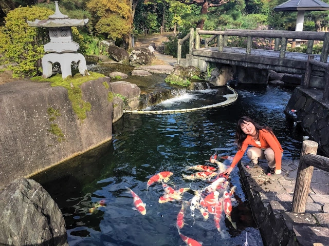 Thành phố ở Nhật Bản có nước sạch, nuôi cá Koi dưới cống